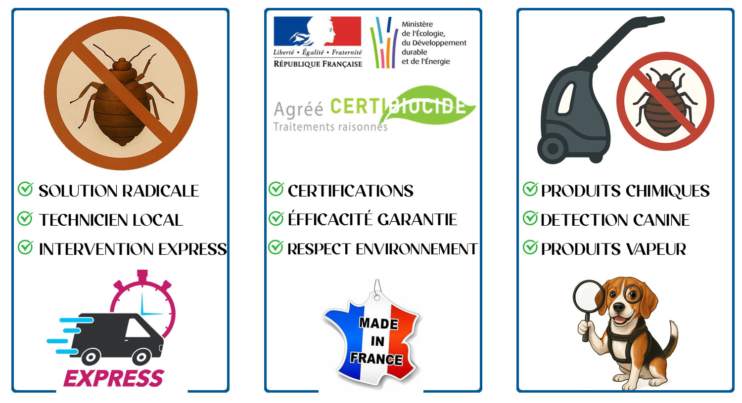 Punaises de Lit Villiers sur Marne